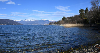 New Horizon Europe-funded project launched to tackle invasive alien species (IAS)