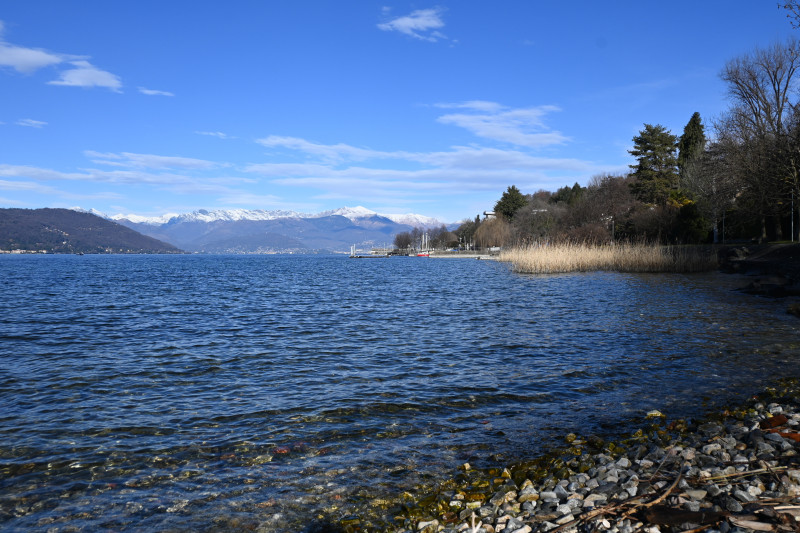New Horizon Europe-funded project launched to tackle invasive alien species (IAS)