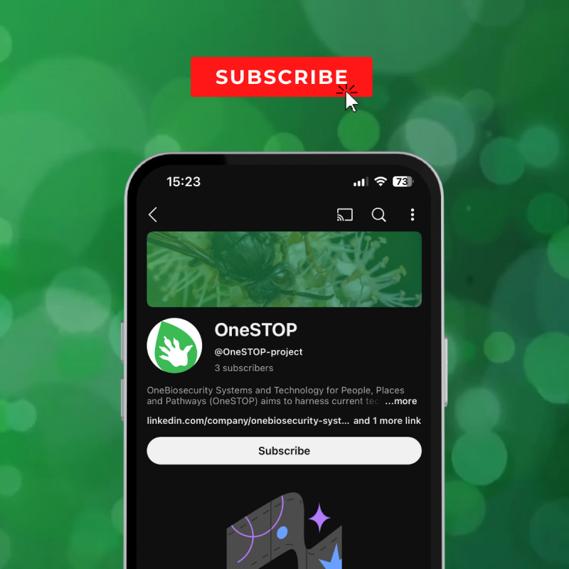 OneSTOP launches series of project-explanatory videos as part of a new campaign