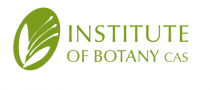 Institute of botany
