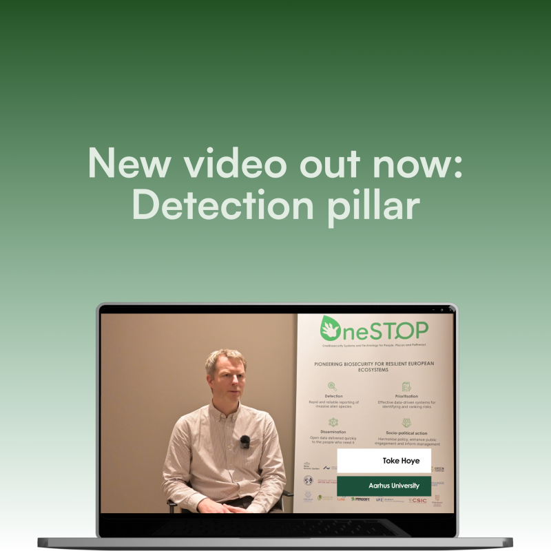 New video outlines the main characteristics of OneSTOP's detection pillar