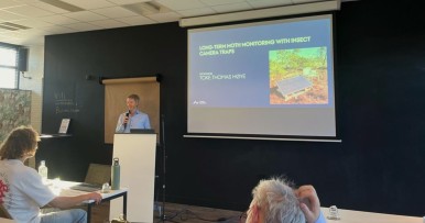 OneSTOP insights at the sixth international Future for Butterflies & Moths symposium