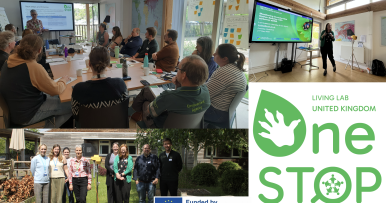 OneSTOP contributes to the Invasive Species Week 2025 with the launch of our UK Living Lab
