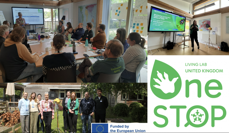 OneSTOP contributes to the Invasive Species Week 2025 with the launch of our UK Living Lab