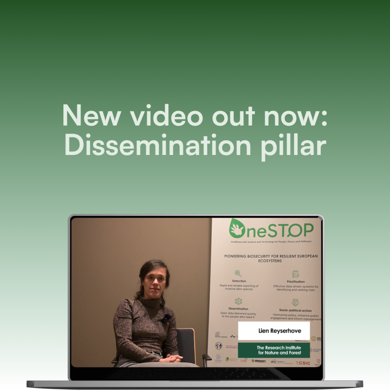 New video summarises OneSTOP’s data dissemination objectives