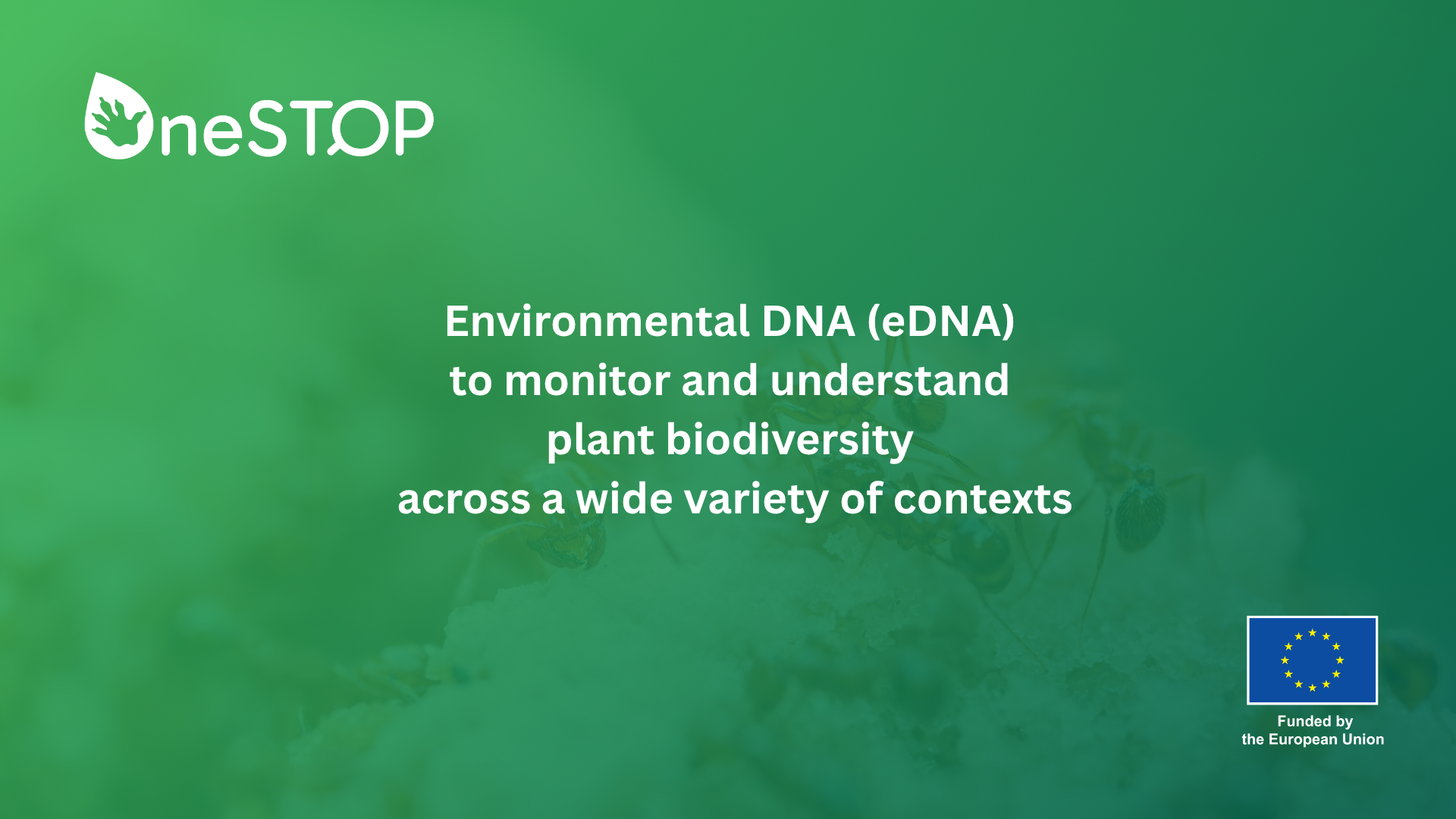 Environmental DNA and the future of plant monitoring