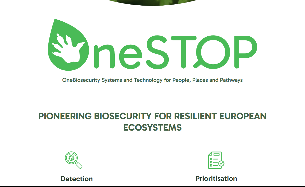 Roll-up banner