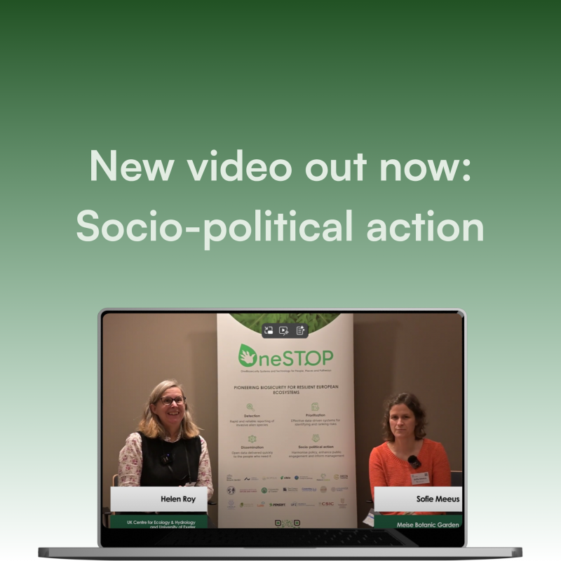 New video highlights OneSTOP’s approach to socio-political action on invasive alien species