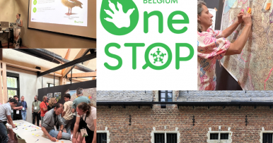 OneSTOP launches Belgian Living Lab to advance invasive species monitoring
