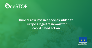 Crucial new invasive species added to Europe’s legal framework for coordinated action