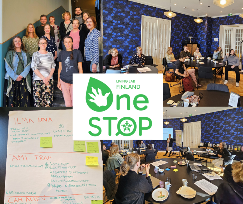 Finnish OneSTOP Living Lab launches with a stakeholder workshop
