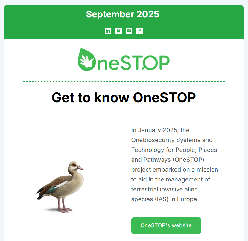 OneSTOP's first newsletter is out