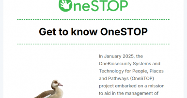 OneSTOP's first newsletter is out