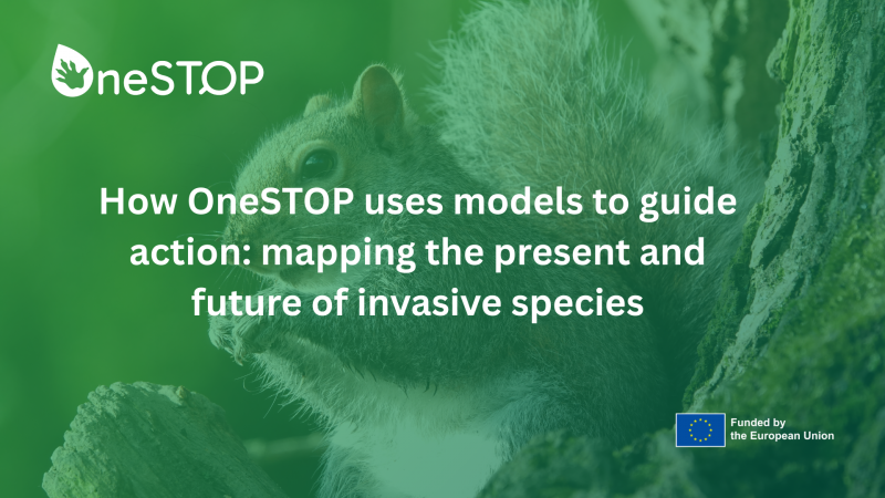 How OneSTOP uses models to guide action: mapping the present and future of invasive species