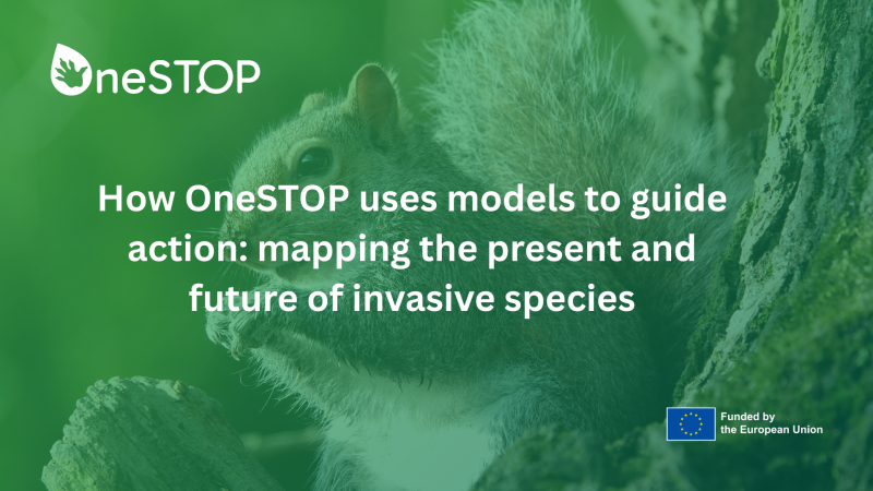 How OneSTOP uses models to guide action: mapping the present and future of invasive species