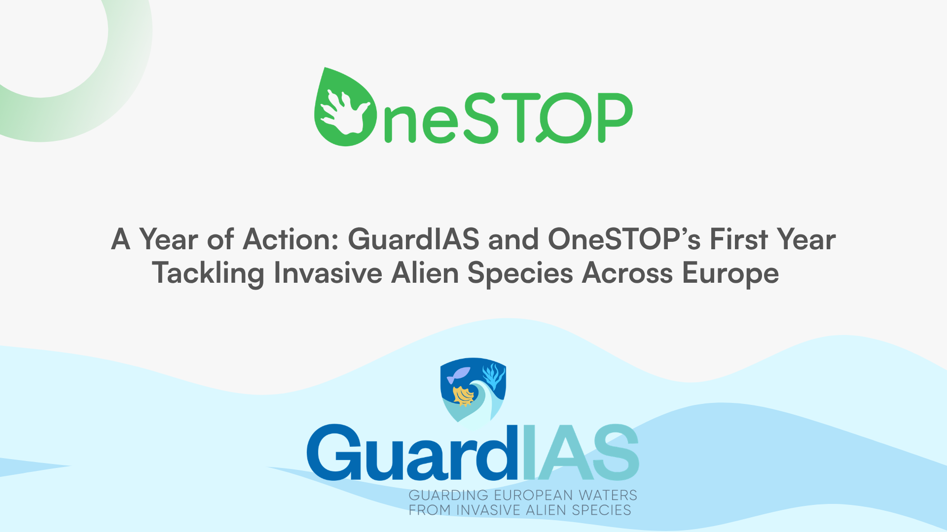 A Year of Action: GuardIAS and OneSTOP’s First Year Tackling Invasive Alien Species Across Europe