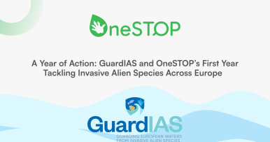 A Year of Action: GuardIAS and OneSTOP’s First Year Tackling Invasive Alien Species Across Europe