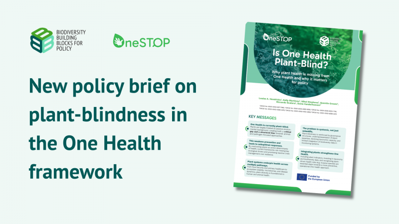 New policy brief addresses plant-blindness in the One Health framework