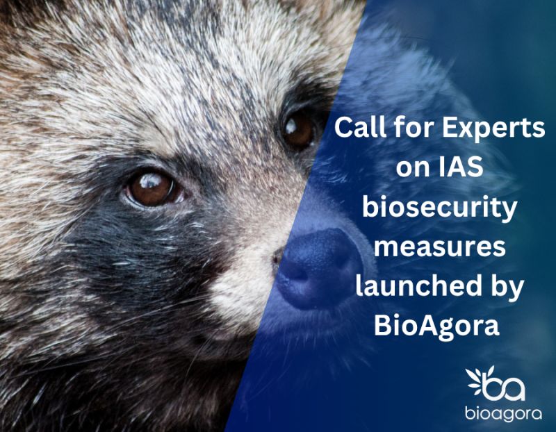 BioAgora launches Call for Experts on biosecurity measures against Invasive Alien Species