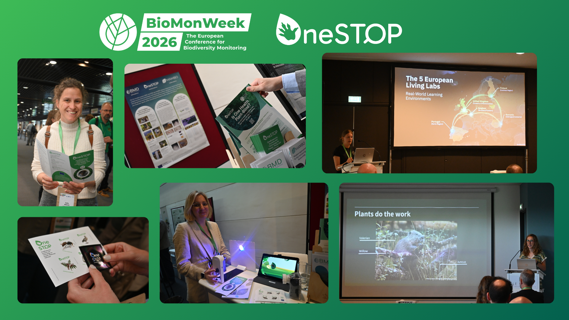 Talking about the future of biodiversity monitoring and citizen science at BioMonWeek2026