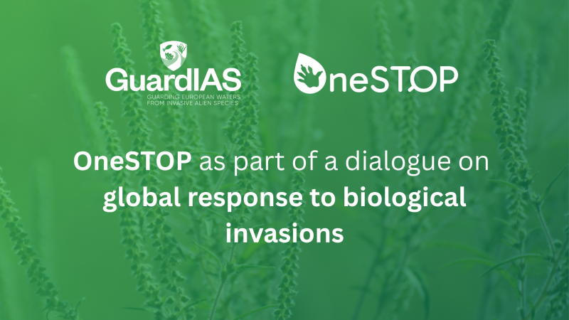 Key takeaways from recent webinar on global response to biological invasions