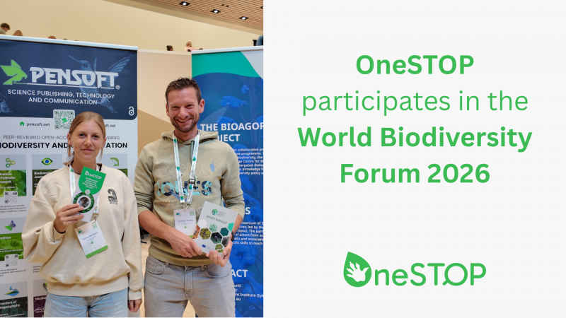 Highlights from OneSTOP’s participation in WBF 2026