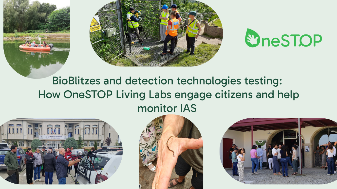 BioBlitzes and detection technologies testing: How OneSTOP Living Labs engage citizens and help monitor IAS