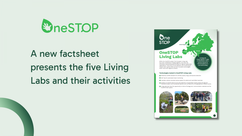 New factsheet shows how OneSTOP’s Living Labs test new technologies for detection of invasive species