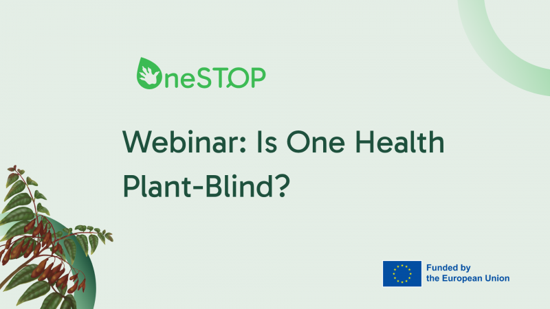 Is One Health plant-blind? Insights from OneSTOP’s webinar