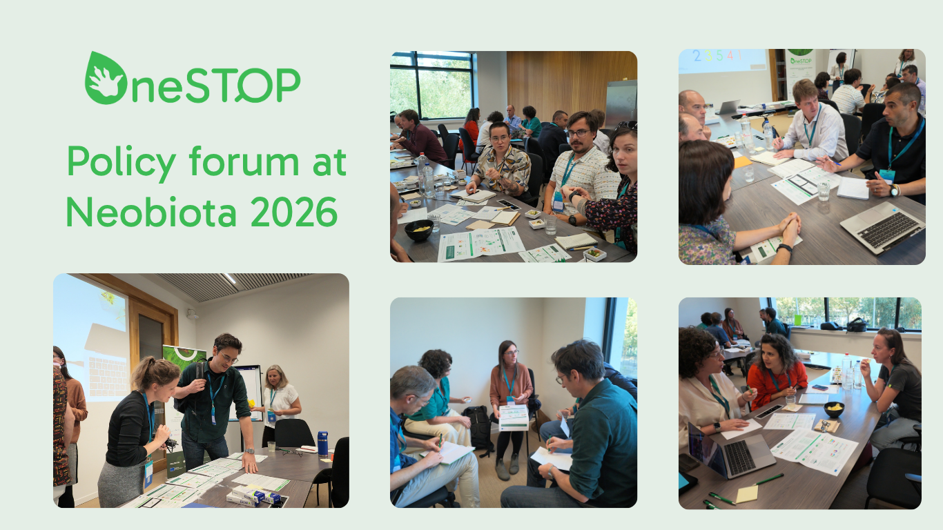 How can the modelling tools OneSTOP builds help stakeholders? Insights from our workshop during Neobiota 2026
