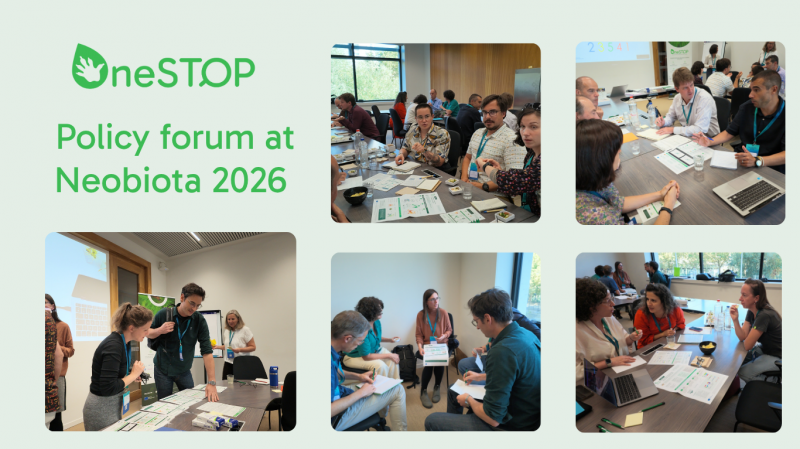 How can the modelling tools OneSTOP builds help stakeholders? Insights from our workshop during Neobiota 2026